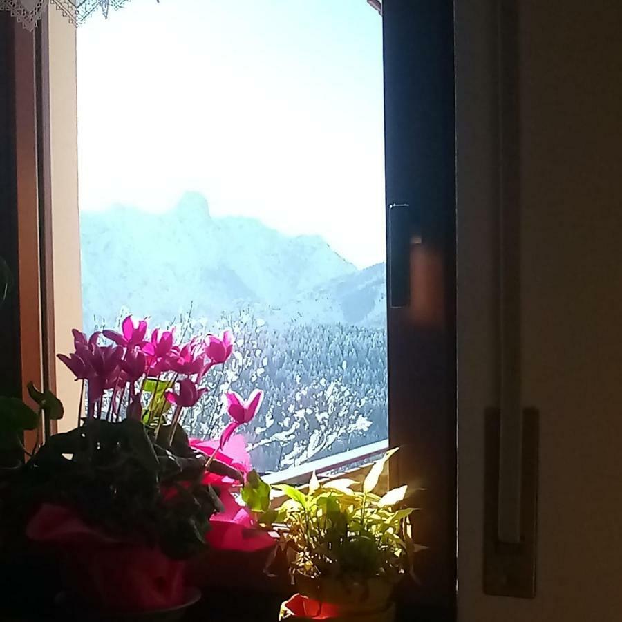 Da Nicola E Laura Apartment Santo Stefano Di Cadore Bagian luar foto